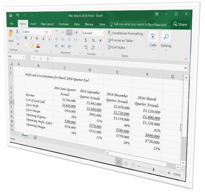 Profit Loss Statement report