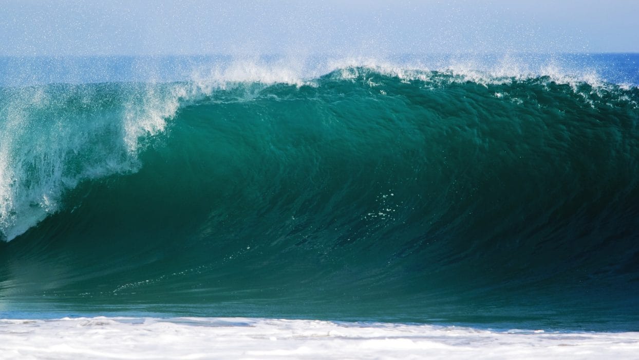 The IoT Tsunami: Will You Catch the Data Wave?