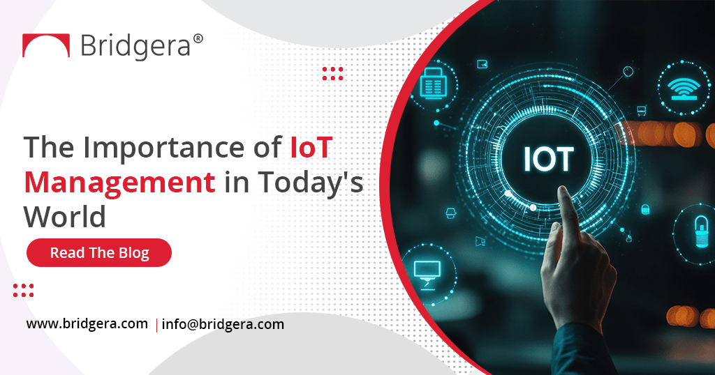 The Importance of IoT Management in Today's World